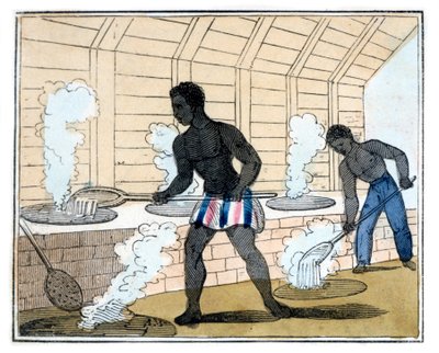砂糖の沸騰と冷却、1826年 作： Amelia Alderson Opie