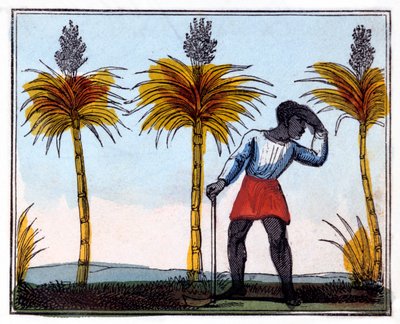 サトウキビの切断、1826年 作： Amelia Alderson Opie