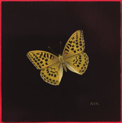 銀洗浄ヒョウモン蝶、2000 作： Amelia Kleiser