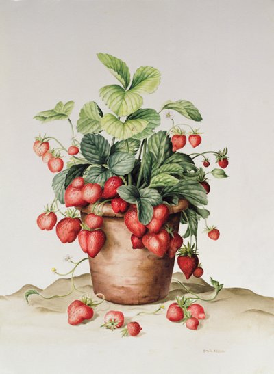 鍋に入ったイチゴ、1998（紙にトイレ） 作： Amelia Kleiser