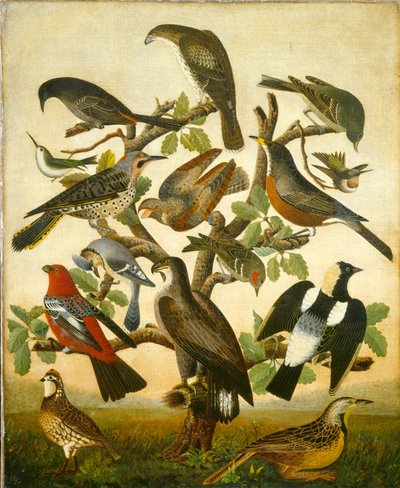 鳥 作： American 19th Century