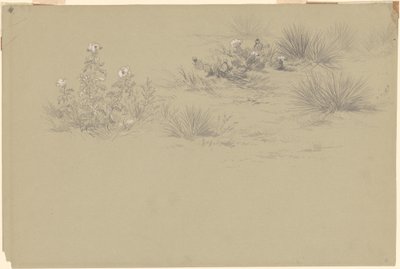 開花低木と砂漠の植物 作： American 19th Century after John Frederick Kensett