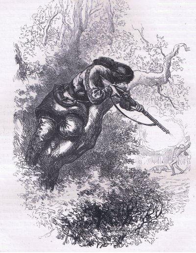 木の上に立つアメリカ人射手（1900年頃、Cassell, Petter & Galpin社発行のCassells History of the United Statesからのイラスト）（リトグラフ版 作： American English school