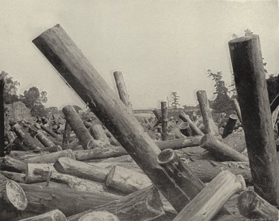 ウィスコンシン州セントクロイ川のログジャム（モノクロ写真 作： American Photographer (after)