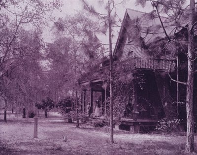 フロリダ州サザンパインズの木陰に建つ家（モノクロ写真 作： American Photographer (after)