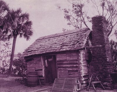 ジョージア州の古い小屋の家（モノクロ写真 作： American Photographer (after)