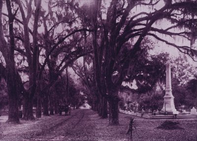 ジョージア州サバンナ、ボナベンチャー墓地（モノクロ写真 作： American Photographer (after)