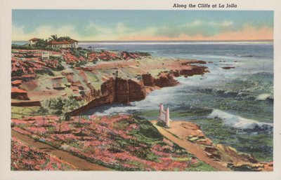 カリフォルニアラ・ホヤの崖沿い（写真 作： アメリカの写真家（後）