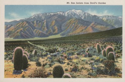 カリフォルニアデビルズガーデンからのサンジャシント山（写真 作： American Photographer (after)
