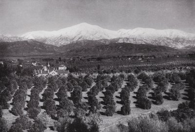 カリフォルニア。スマイリーハイツから見たレッドランズ、太陽の光、オレンジの木立、雪の峰々（モノクロ写真 作： American Photographer (after)