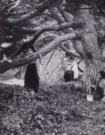 皇居の堀のそばの松の木の間にいる日本の少女たち（モノクロ写真 作： American Photographer (after)