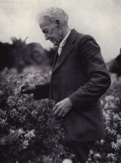 花を愛でるルーサー・バーバンク（モノクロ写真 作： American Photographer (after)