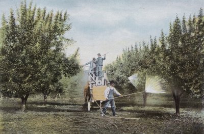 オレゴン州オレゴン州の果樹園での散布（写真 作： American Photographer (after)