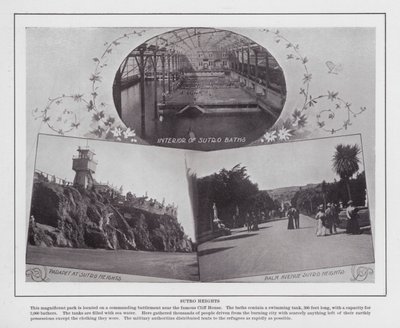 サンフランシスコのサットロハイツ（モノクロ写真 作： American Photographer (after)