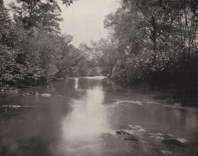 ノースカロライナ州、スワンナノア川（モノクロ写真 作： American Photographer (after)