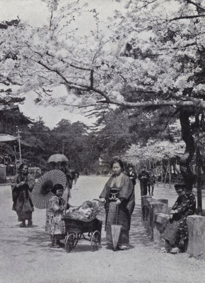 東京・芝公園の桜の下で（モノクロ写真 作： American Photographer (after)