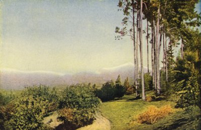 レッドランズ近郊の南カリフォルニアの風景（カラー写真） 作： American Photographer