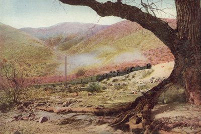 カリフォルニア州カホン峠の昇順（カラー写真） 作： American Photographer
