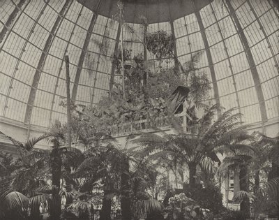 園芸ドームの内部 作： American Photographer