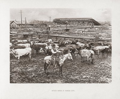 米国ミズーリ州カンザスシティ 作： American Photographer