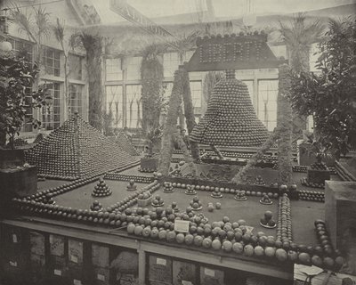 オレンジの自由の鐘 作： American Photographer