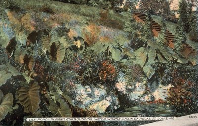 ミズーリ州セントルイス、チェーン・オブ・ロックス、ウォーター・ワークス周辺公園のリリー・ポンド（カラー写真） 作： アメリカの写真家