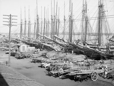 Muelle Tallapiedras, Havana, c.1904 (bw/photo) 作： American Photographer