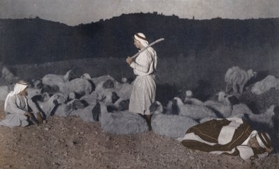 夜、群れを見守るパレスチナの羊飼いたち（カラー写真） 作： アメリカの写真家
