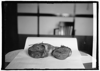 禁酒隊（カウ・シューズ） 1924年6月28日（モノクロ写真 作： American Photographer