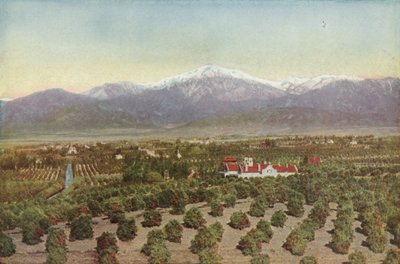 レッドランズ、カリフォルニア州、スマイリーハイツからの眺め（カラー写真） 作： American Photographer