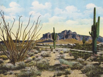 スーパースティション山脈と砂漠、"アパッチ・トレイル"（カラー写真） 作： American Photographer
