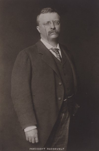 セオドアルーズベルト、第26代アメリカ合衆国大統領、1904年 作： American Photographer