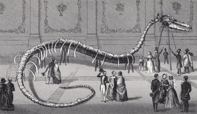 114フィートの長さの偽海蛇のスケルトン「Hydrarchos harlani」、1845年頃 作： American School
