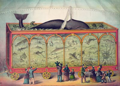 19世紀のサーカス水族館 作： American School