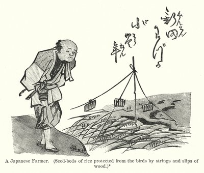 日本の農家、木の紐と滑り台で鳥から守られた稲の苗床（彫刻 作： アメリカの学校