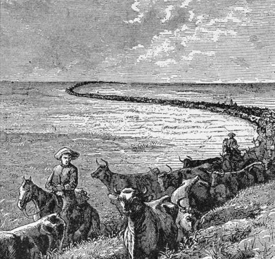 グレートプレーンズのトレイル、「ハーパーズウィークリー」からのイラスト、1874年、ラルフヘンリーガブリエル作「The Pageant of America、Vol.3」から 作： American School