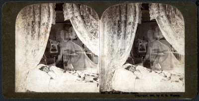 孤独な小さな心、1901（ステレオグラフ） 作： American School