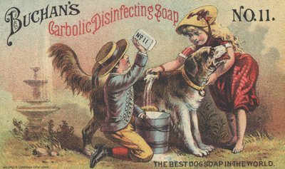 Buchans炭水化物消毒石鹸No. 11、c.1880の広告 作： American School