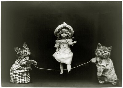 猫の好奇心、1891 作： American School