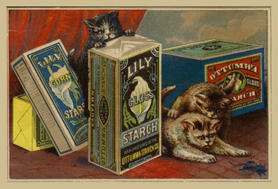 でんぷんパケットの中からマウスを探している猫 作： American School