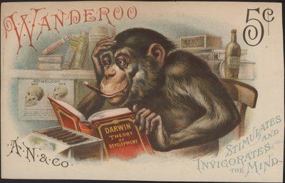 チャールズ・ダーウィン、開発理論（すなわち進化論） 作： American School