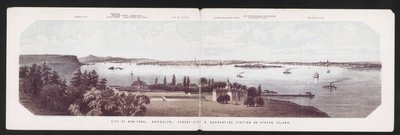 ニューヨーク市、ブルックリン、ジャージーシティ、スタテン島の検疫所、1850年頃（カラーリトグラフ 作： American School