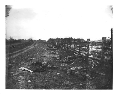 ヘイガースタウンパイクの西側に沿った南軍の死者、1862年9月19日のアンティータムの戦い 作： American School