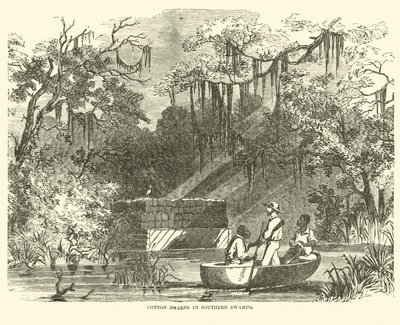 1862年7月、南湿地の綿の貯蔵庫 作： American School