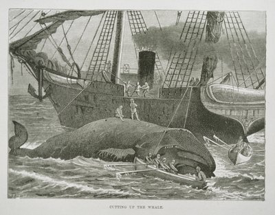クジラの解体（『The American Whale Fishery』（1850年頃）より）（エングレーヴィング 作： American School
