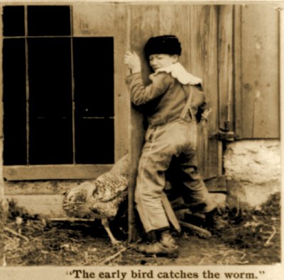 1900年頃の立体写真カード「The early bird catches the worm」のディテール（モノクロ写真） 作： American School
