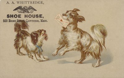 犬の口の中に文字を保持 作： American School