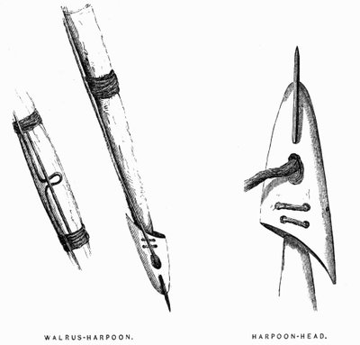 エスキモーの狩猟用具。銛 - エリシャ・ケント・ケイン『Artic Exlorations in the Year 1853-1855』第1巻、p.412、フィラデルフィア 作： American School