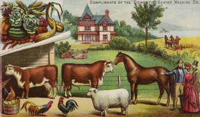 農場の家と動物 作： American School