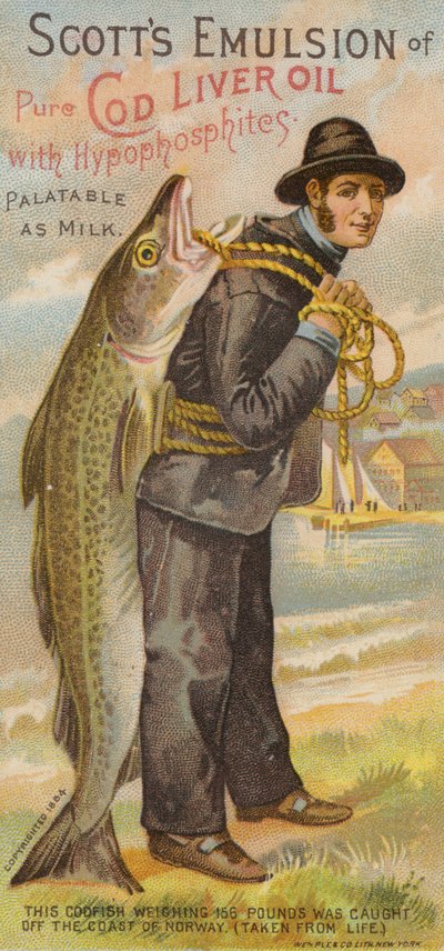肩越しに魚を手にする漁師 作： American School